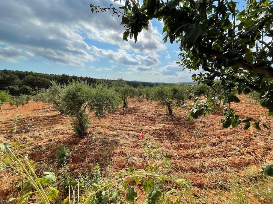 Villa El-Cortijo Siete Aguas Esterno foto